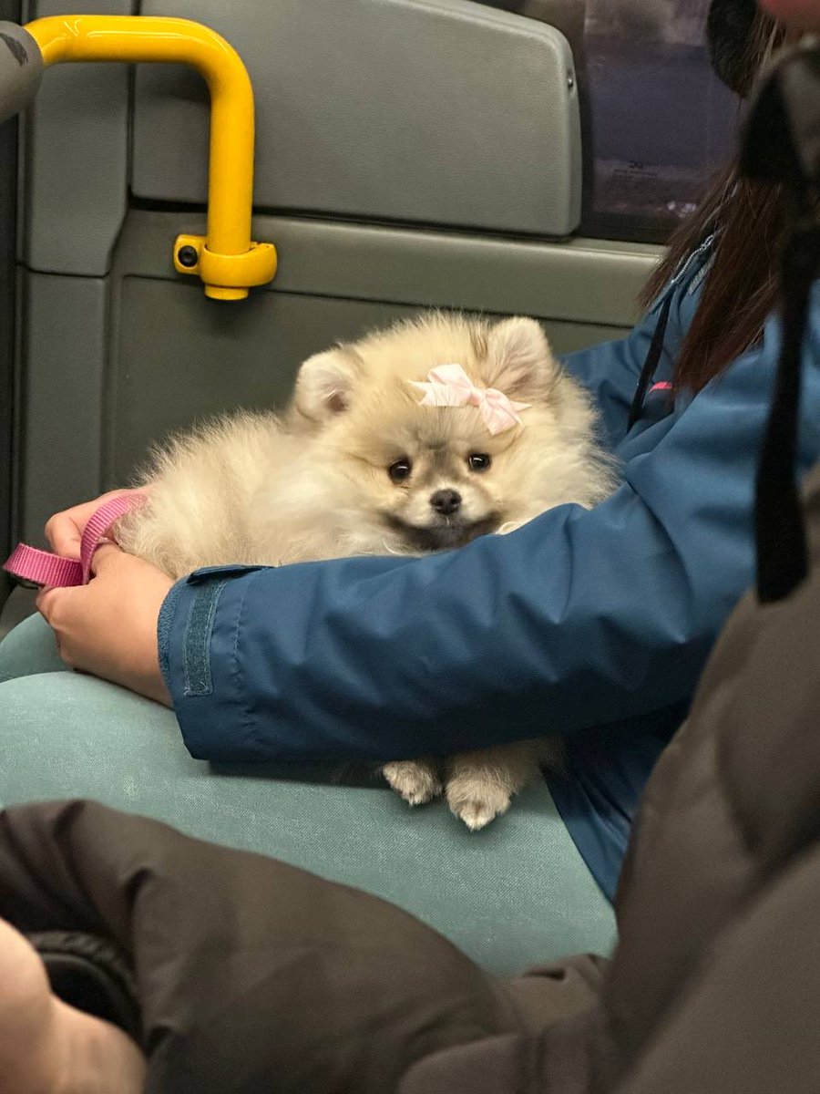 Mira Alive ❤️ tweet media