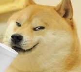 AnkshaRose tweet media