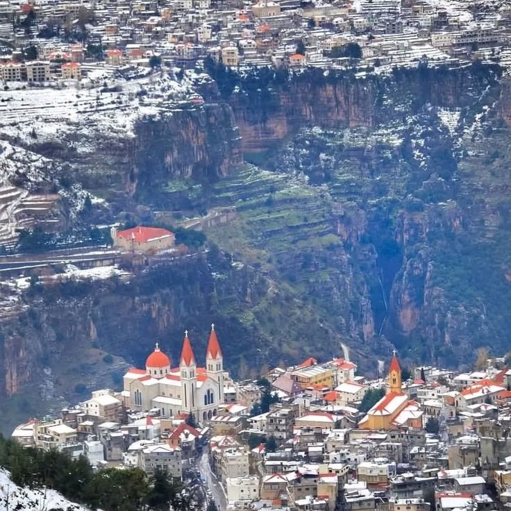 Timeless ✠🇻🇦 tweet media