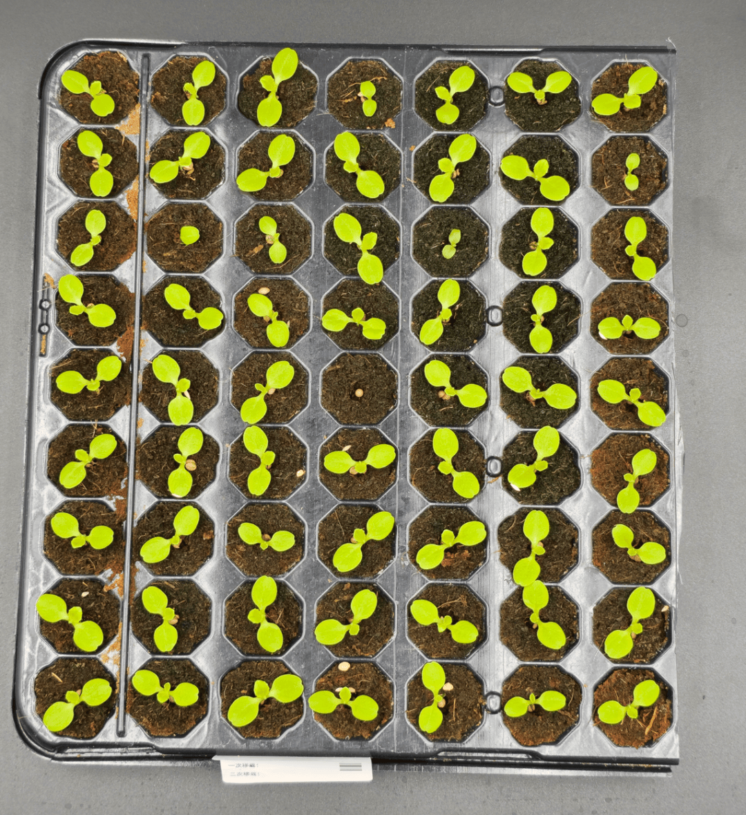 Ahhtinqq'zxc tweet media