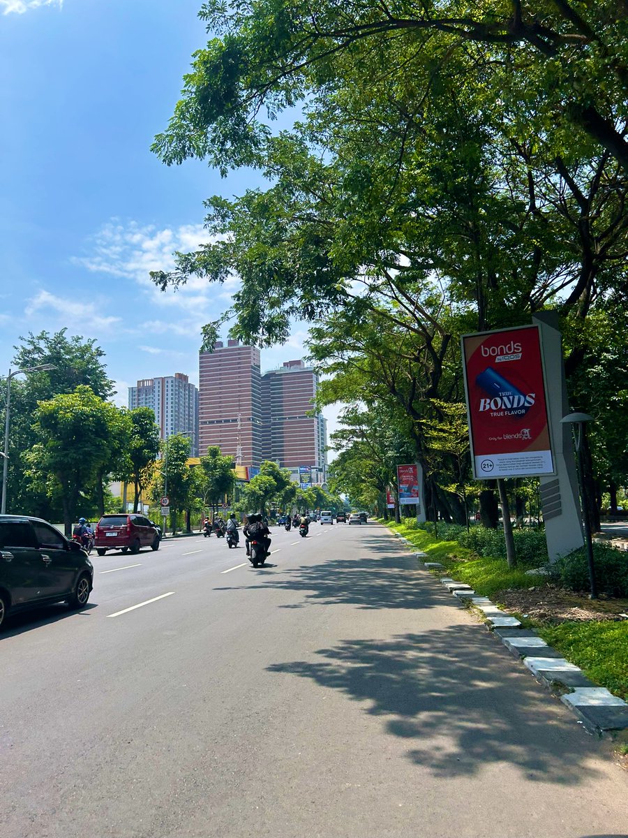 🐻🐻 tweet media