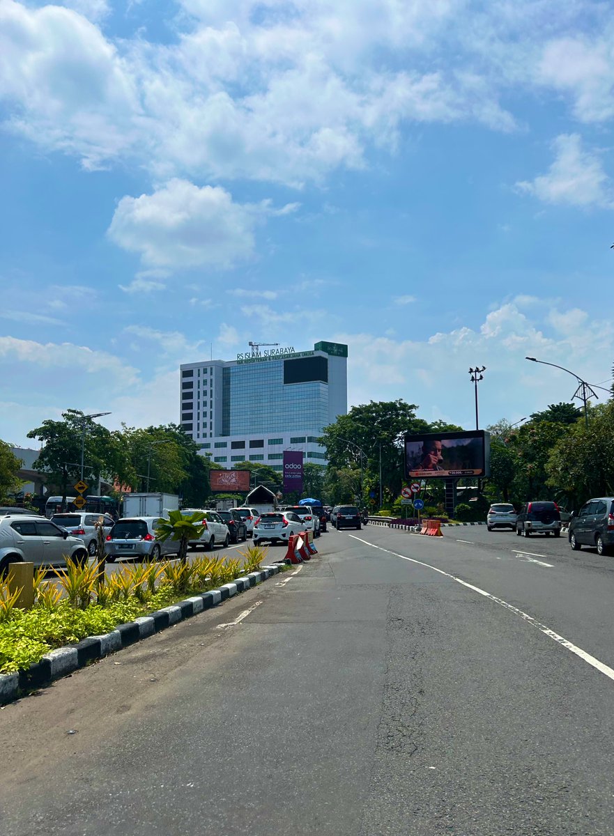 🐻🐻 tweet media