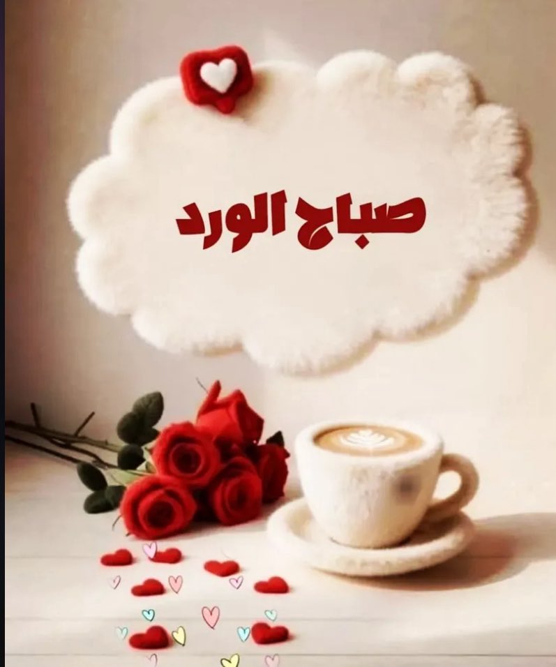 ali20121269's tweet photo. https://t.co/3EVE2ICRHG