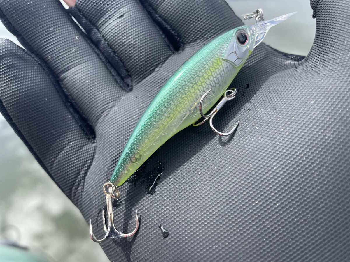 ドボンチ tweet media