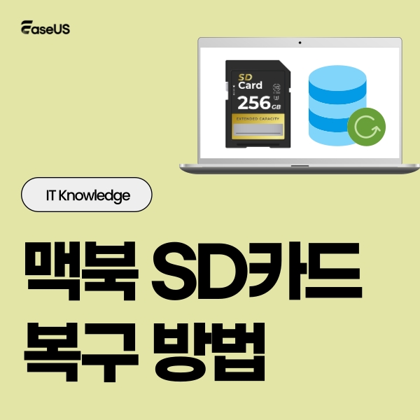 EaseUS 코리아 tweet media