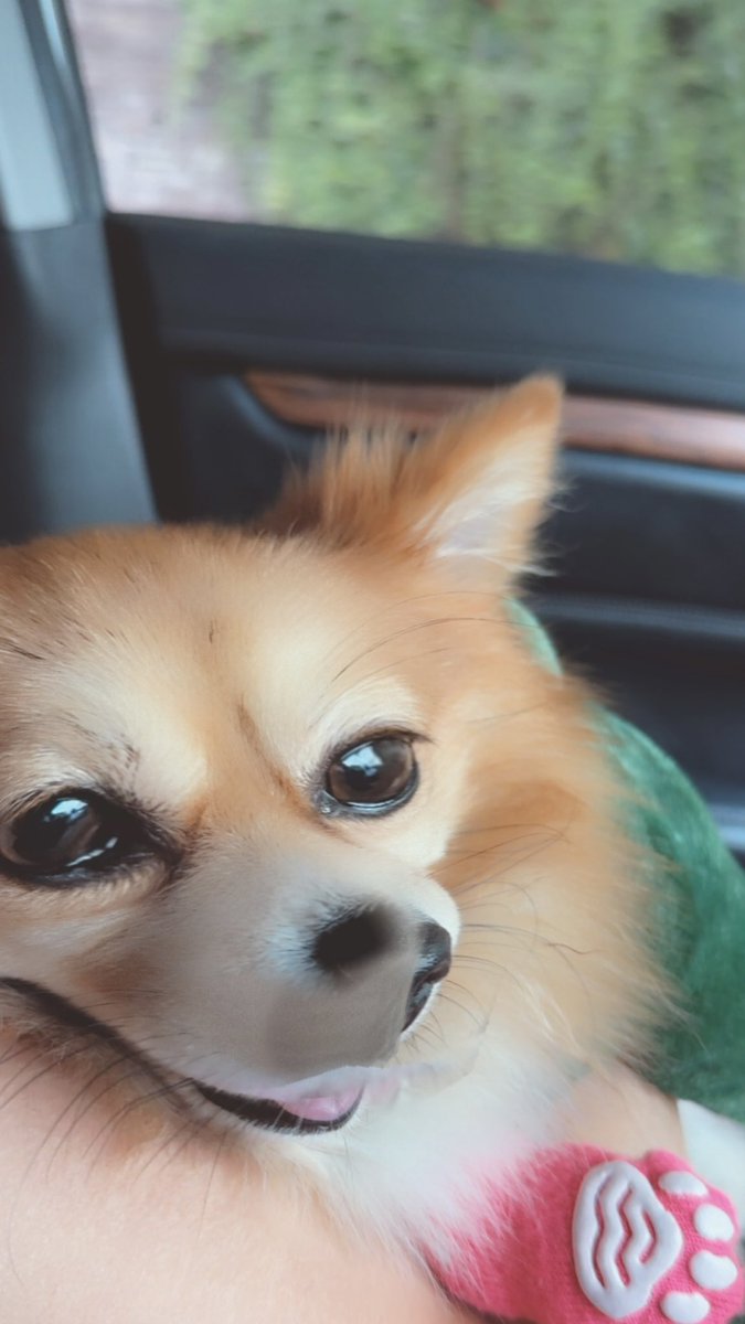 Regina Wilian tweet media