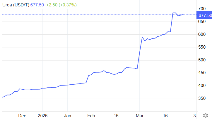 JunDoJun 🩸 tweet media