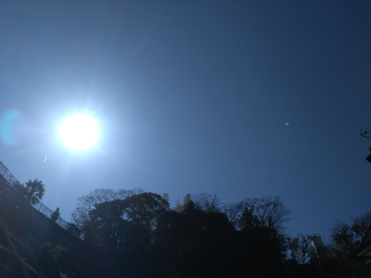 ☆亜津子☆ tweet media