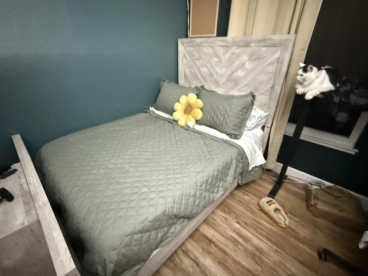 WE3BLY The Editor✍️ (COMMISSIONS OPEN) tweet media