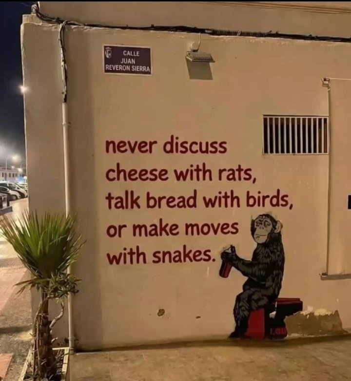 🦉Loner🦉 tweet media