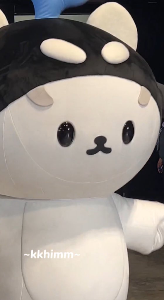 ‎ ᙏ̤̮ มอมอ ✿ ◡̈ 𝘧𝘵.🍒🏡🐶✈️ tweet media