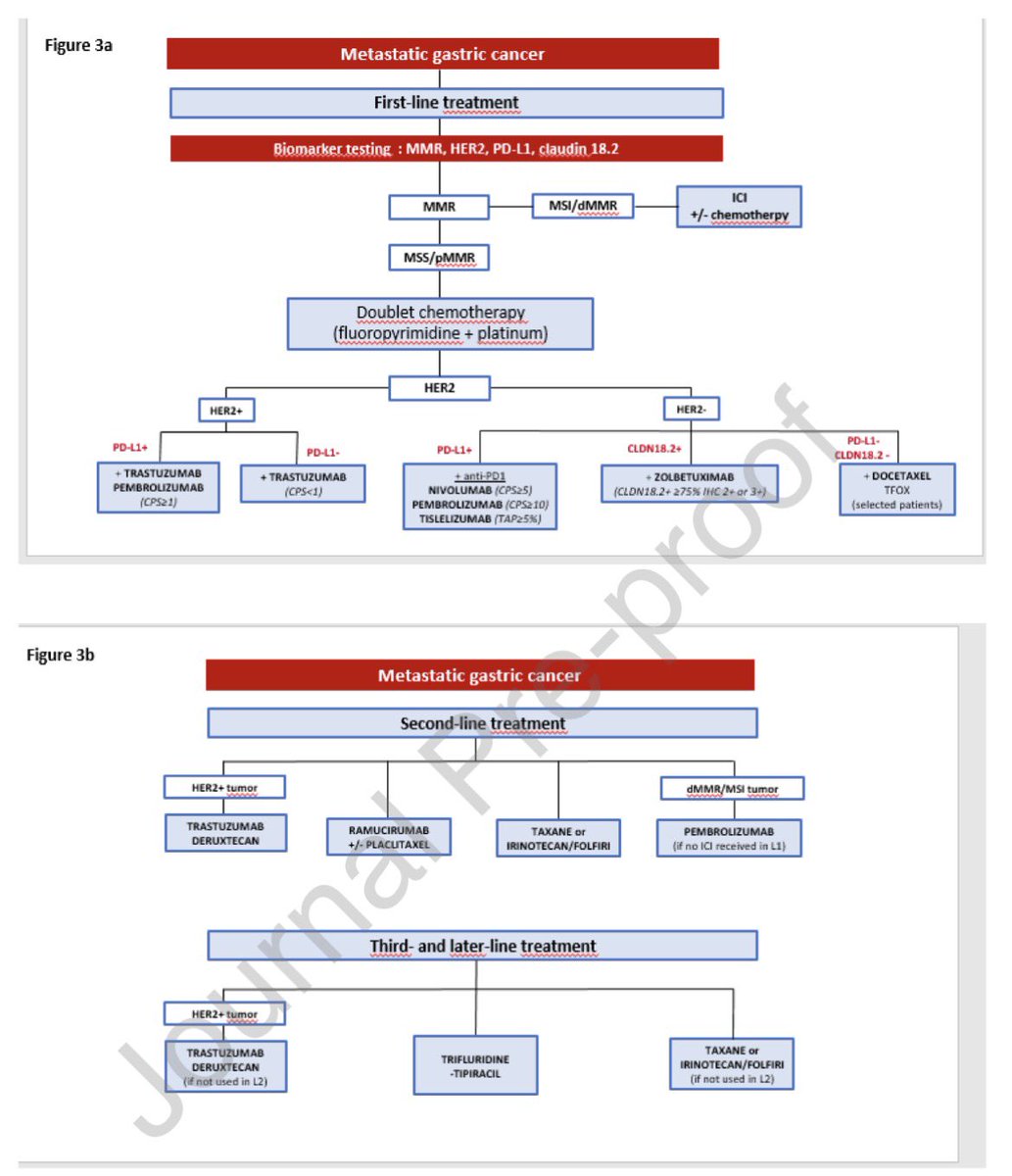 📘Gastric cancer: French 🇫🇷  Intergroup clinical practice guidelines
<a href="/EORTC/">EORTC</a> 

👉ejcancer.com/article/S0959-…

#cancer #oncology #MedX #gastric <a href="/OncoAlert/">OncoAlert</a>