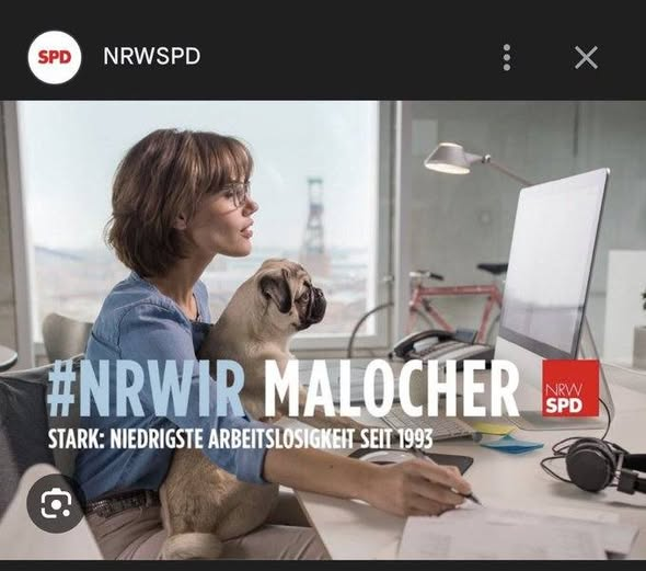 Wowbagger (der sehr sensible) tweet media