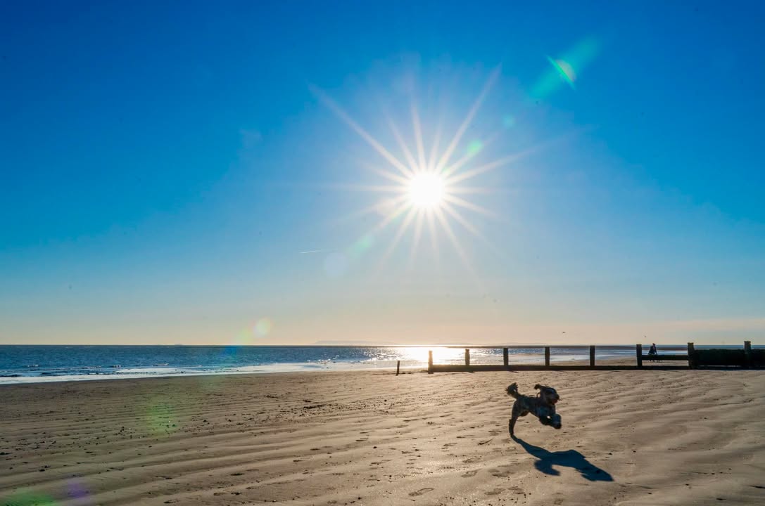 BBC Sussex tweet media