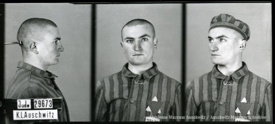 Auschwitz Memorial tweet media