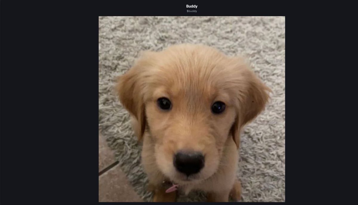 TheMisfitToy tweet media