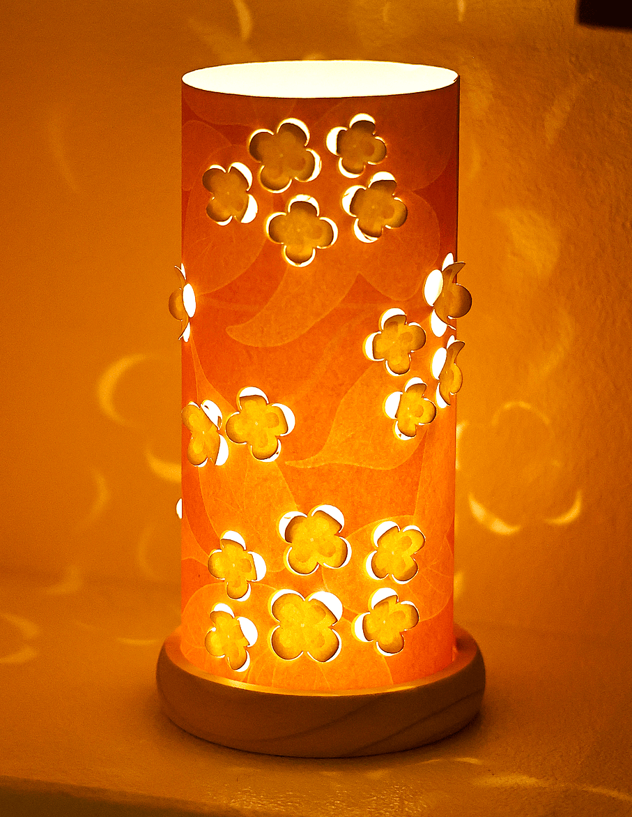 Cheif of Dumbasses tweet media