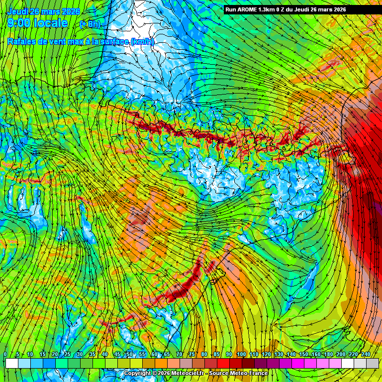 Àlex Van der Laan tweet media