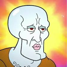 shau🪿 tweet media