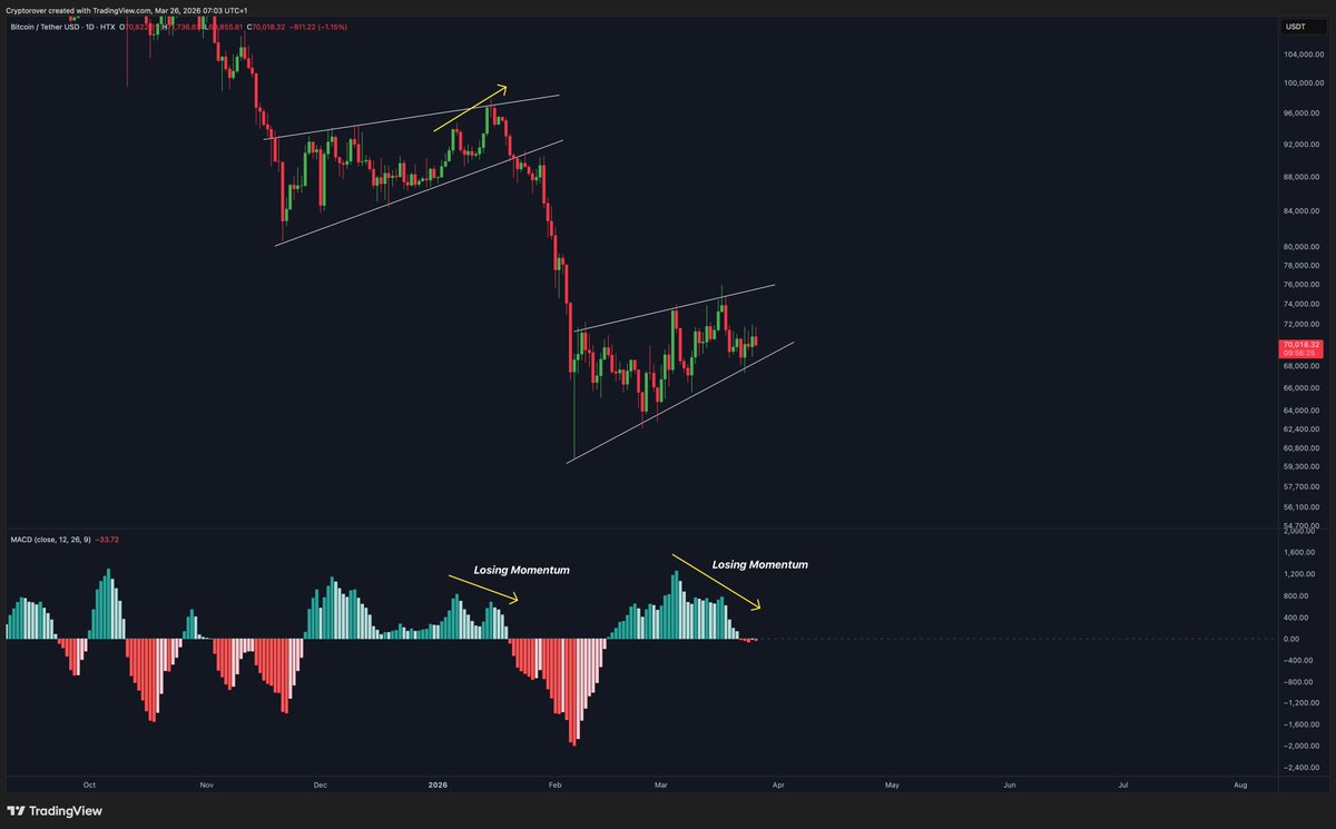 Crypto Rover tweet media