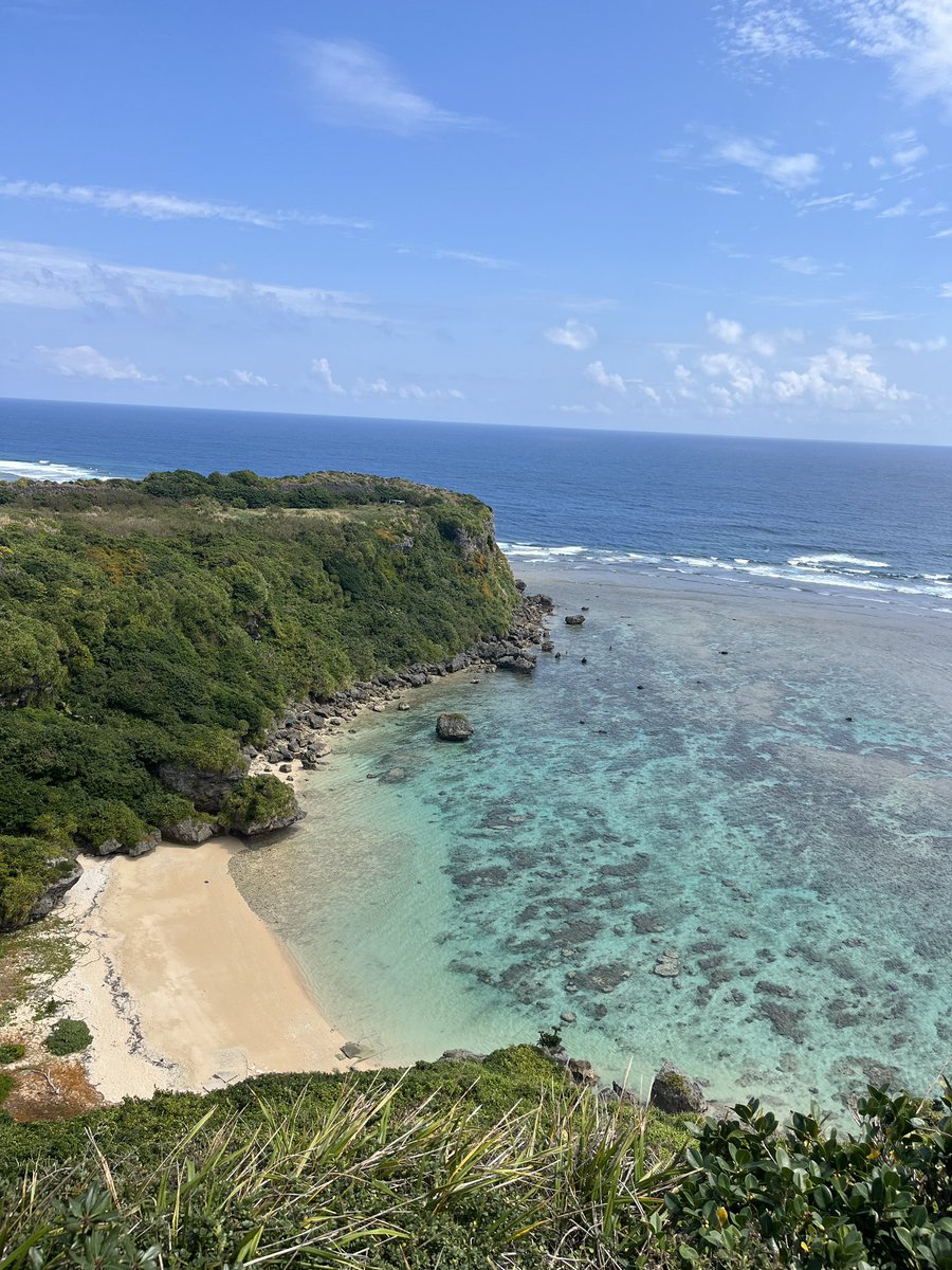 とりい tweet media