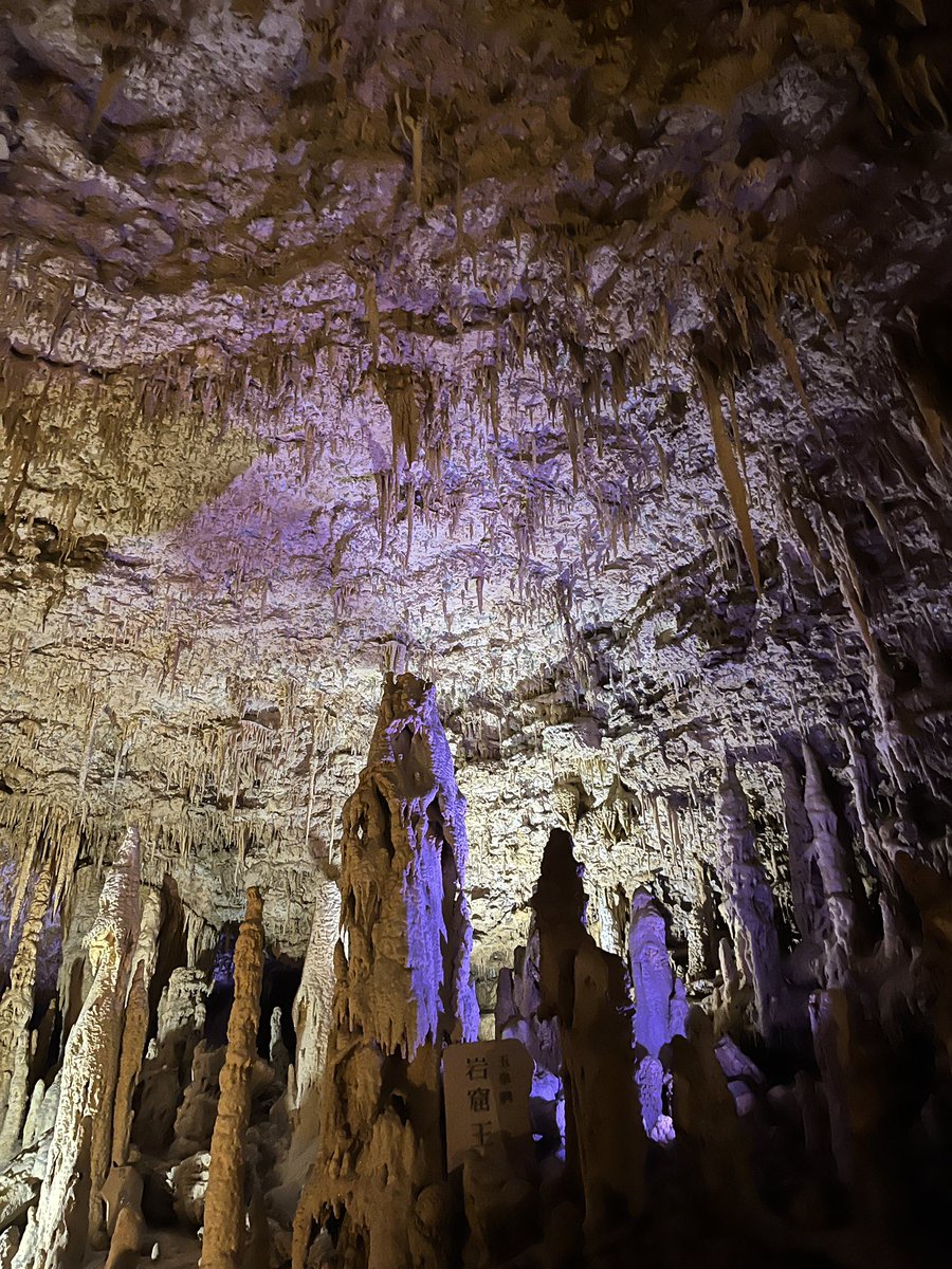 とりい tweet media