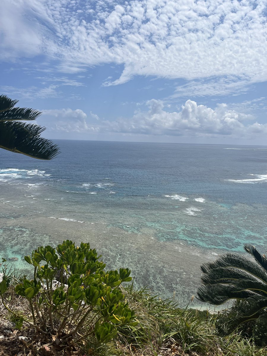 とりい tweet media