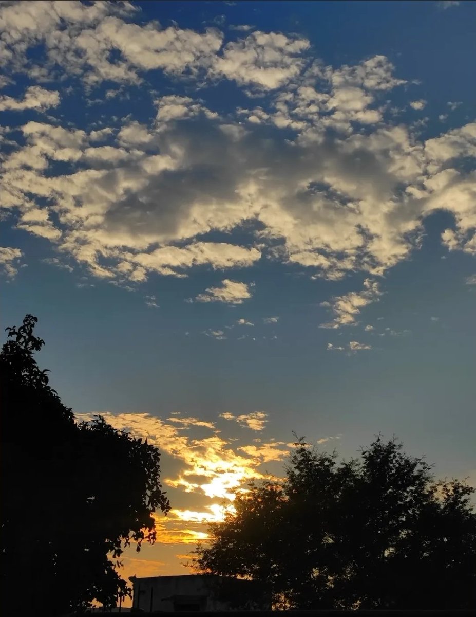 Financial Trader 📊 tweet media