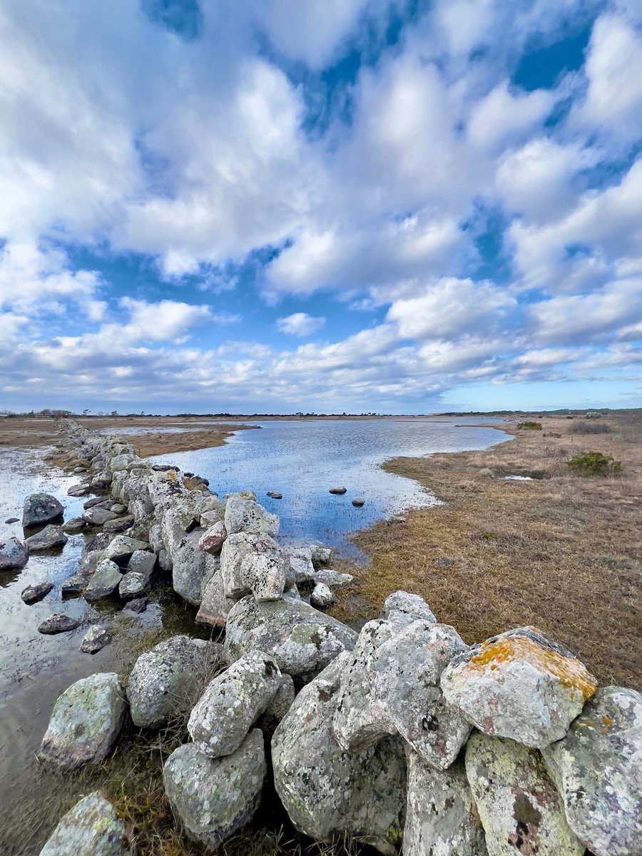 Mrs. Gibbon ✏️🇸🇪👩🏻‍🎨🕊️🆓 tweet media