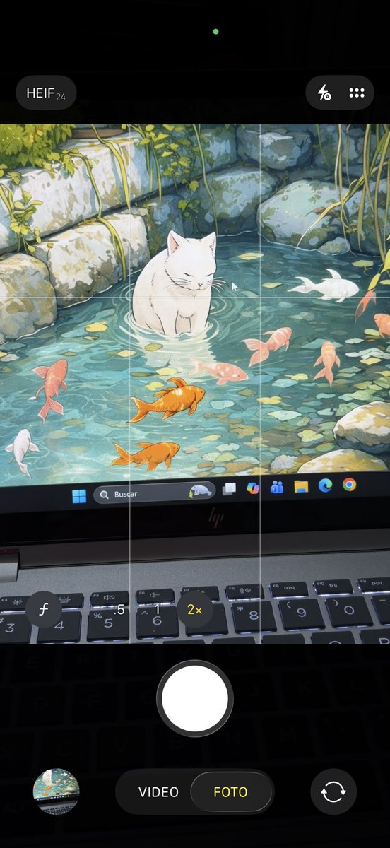 Lue ☆ ルエ tweet media