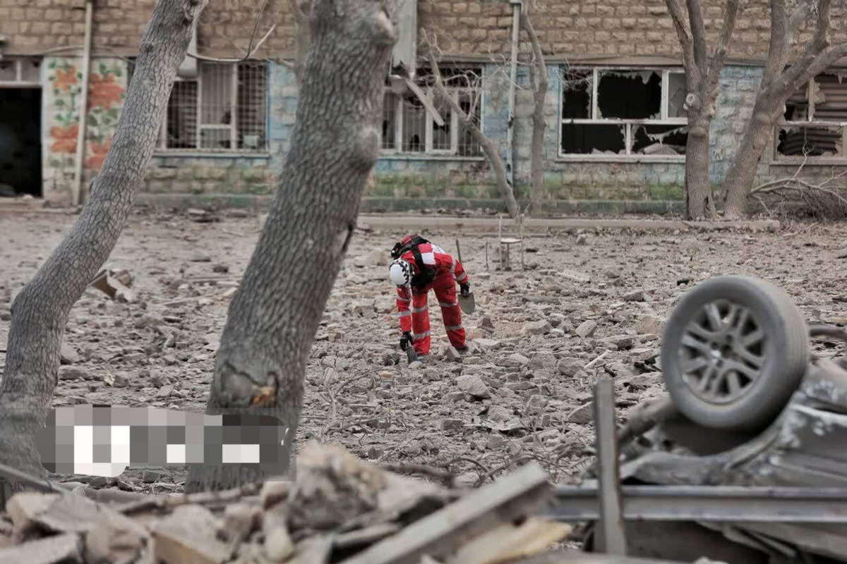 نرگس خاتون قاجار tweet media