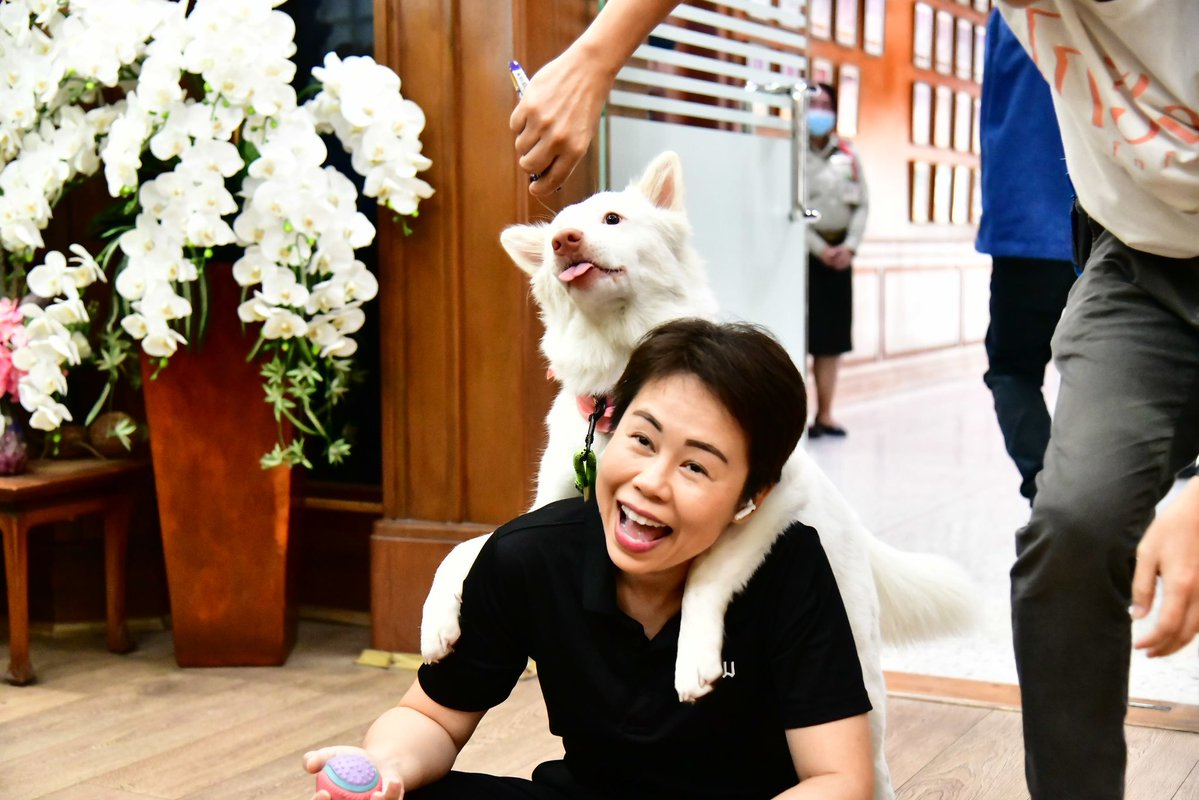 Ktaya l BBKK tweet media