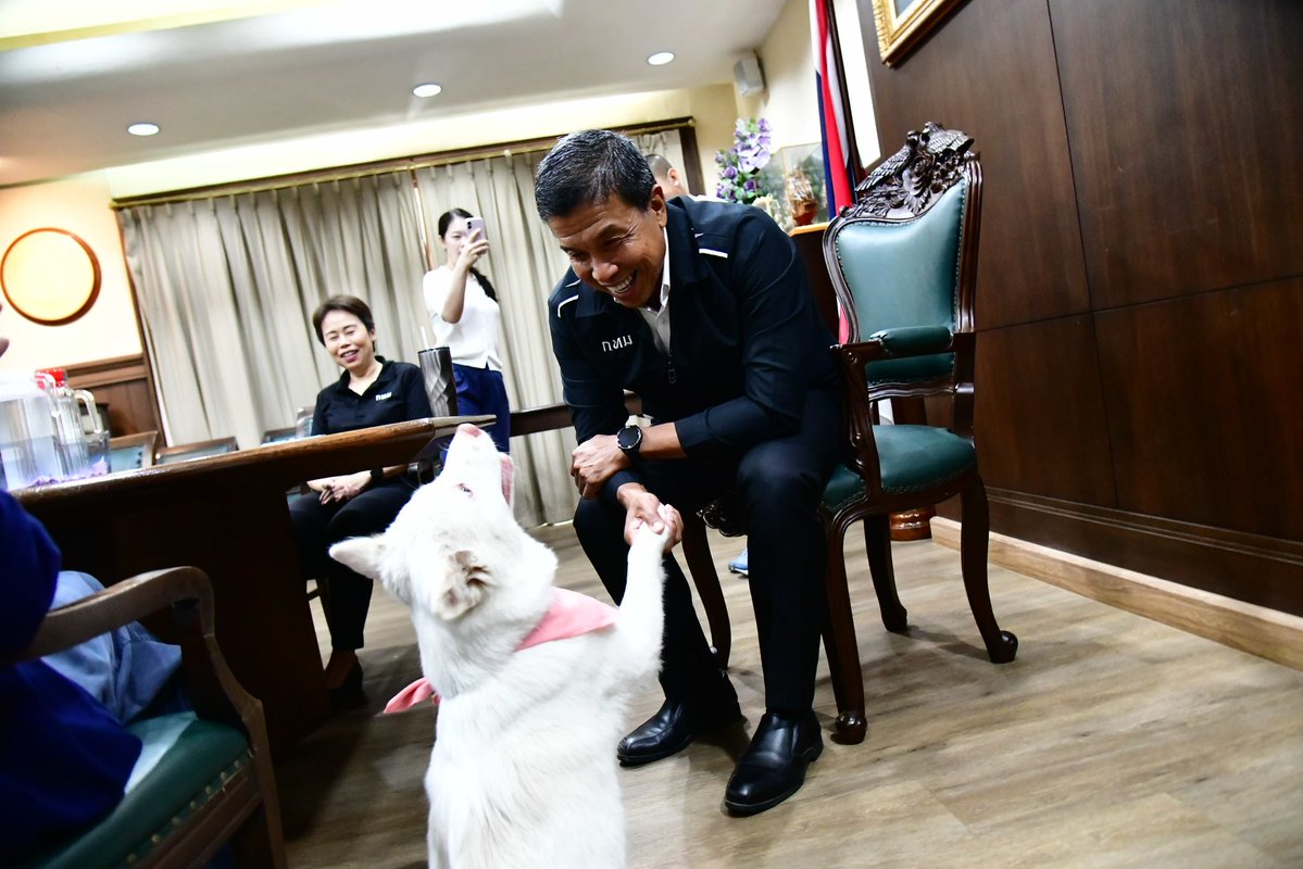 Ktaya l BBKK tweet media