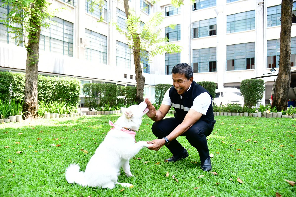 Ktaya l BBKK tweet media