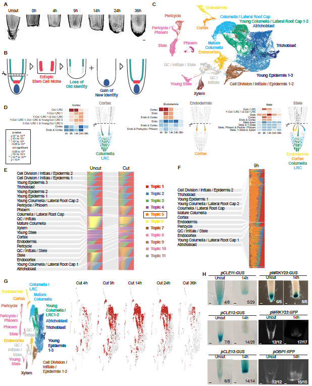 Molecular Plant & Plant Communications tweet media