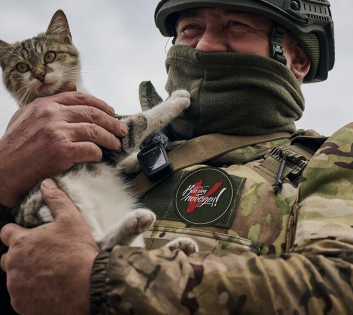 Никитоша tweet media