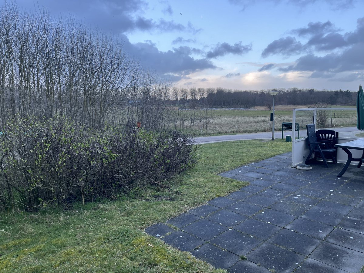 Warner Bruins Slot tweet media