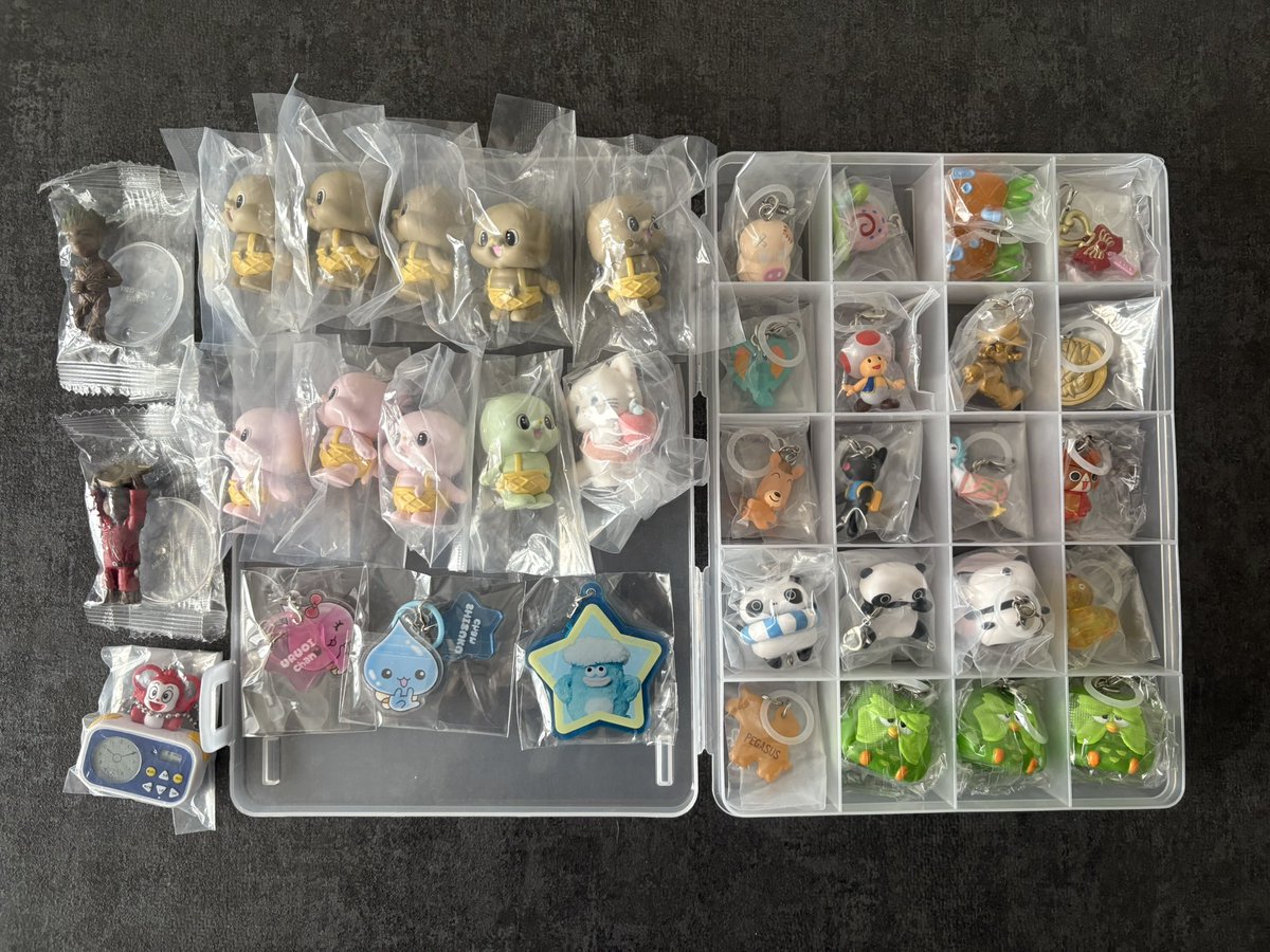 ミミ🎀 tweet media