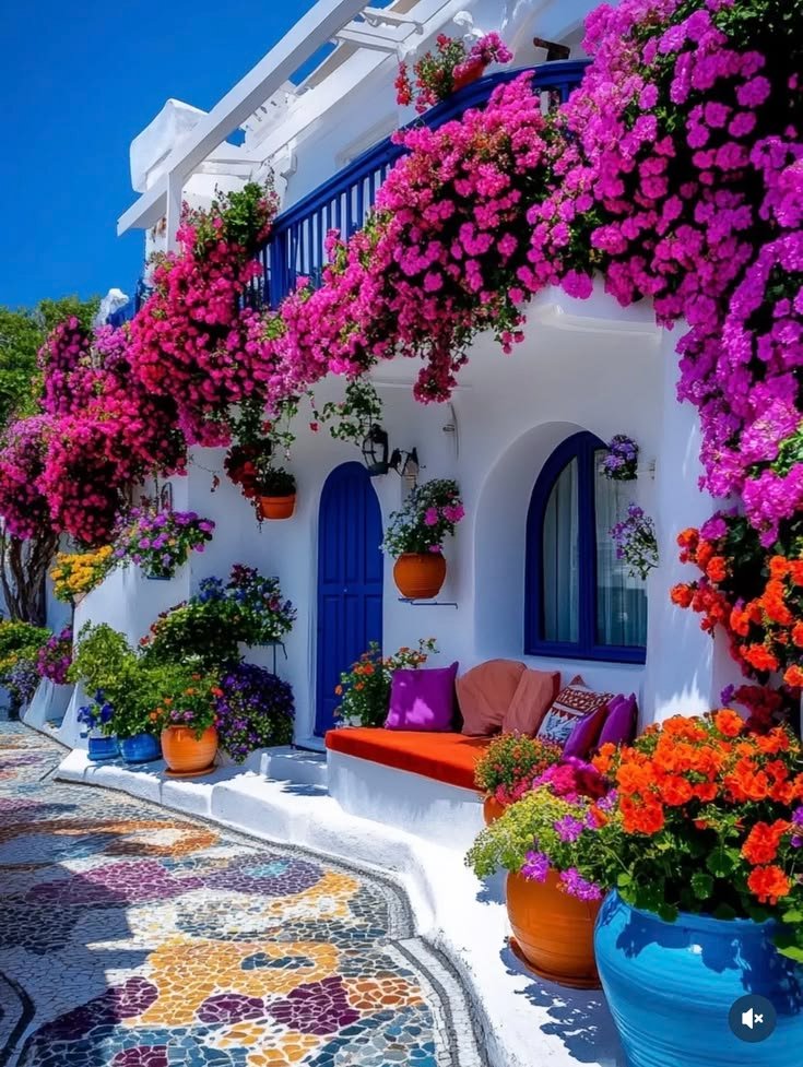 World Explorer 📸 tweet media