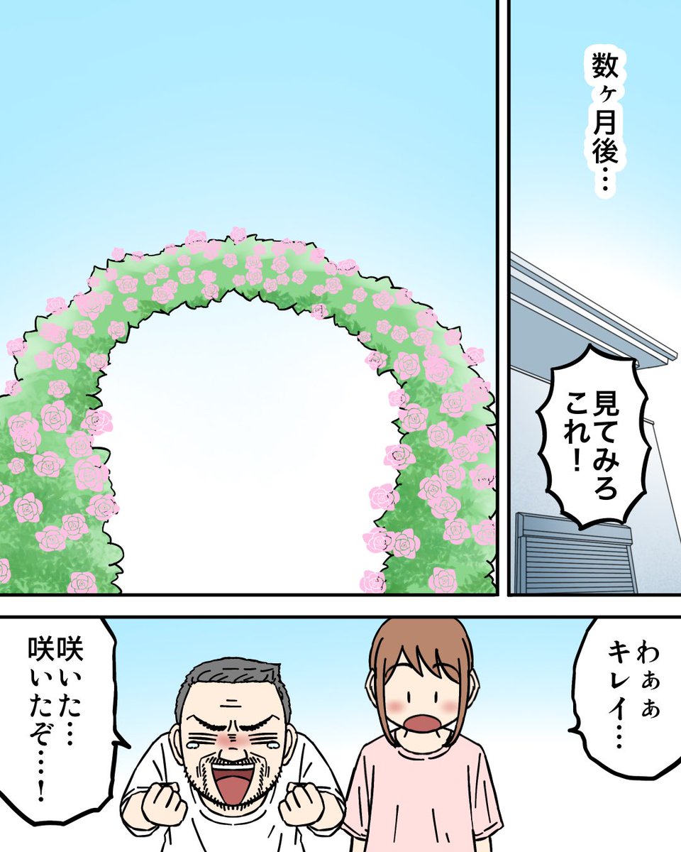 延命治療しなかった我が家の猫2/4 