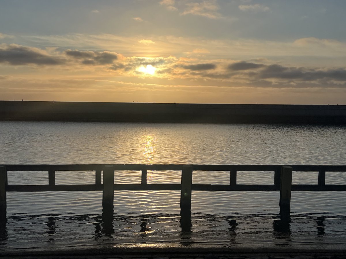 Roman Szełemej tweet media