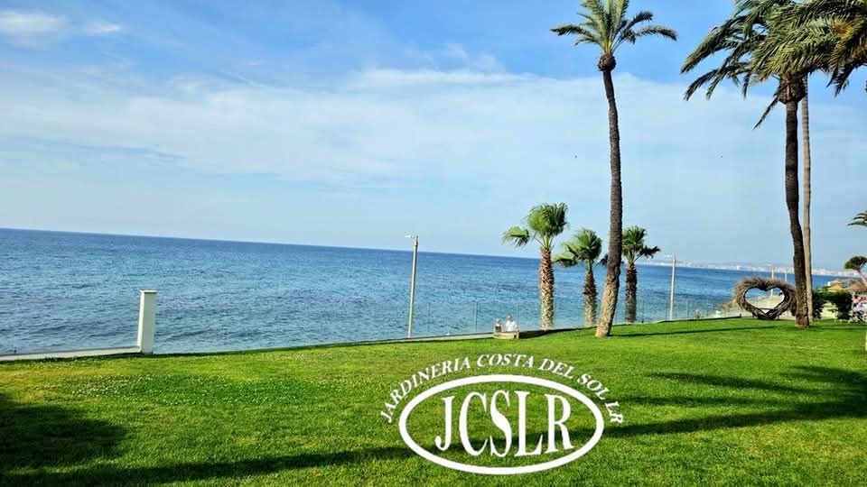 Nos encargamos de la poda en altura de cualquier especie para obtener siempre la mejor imagen de nuestros árboles.
We specialise in pruning trees at height, whatever the species, to ensure our trees always look their best #jardín #jardineriacostadelsol #garden