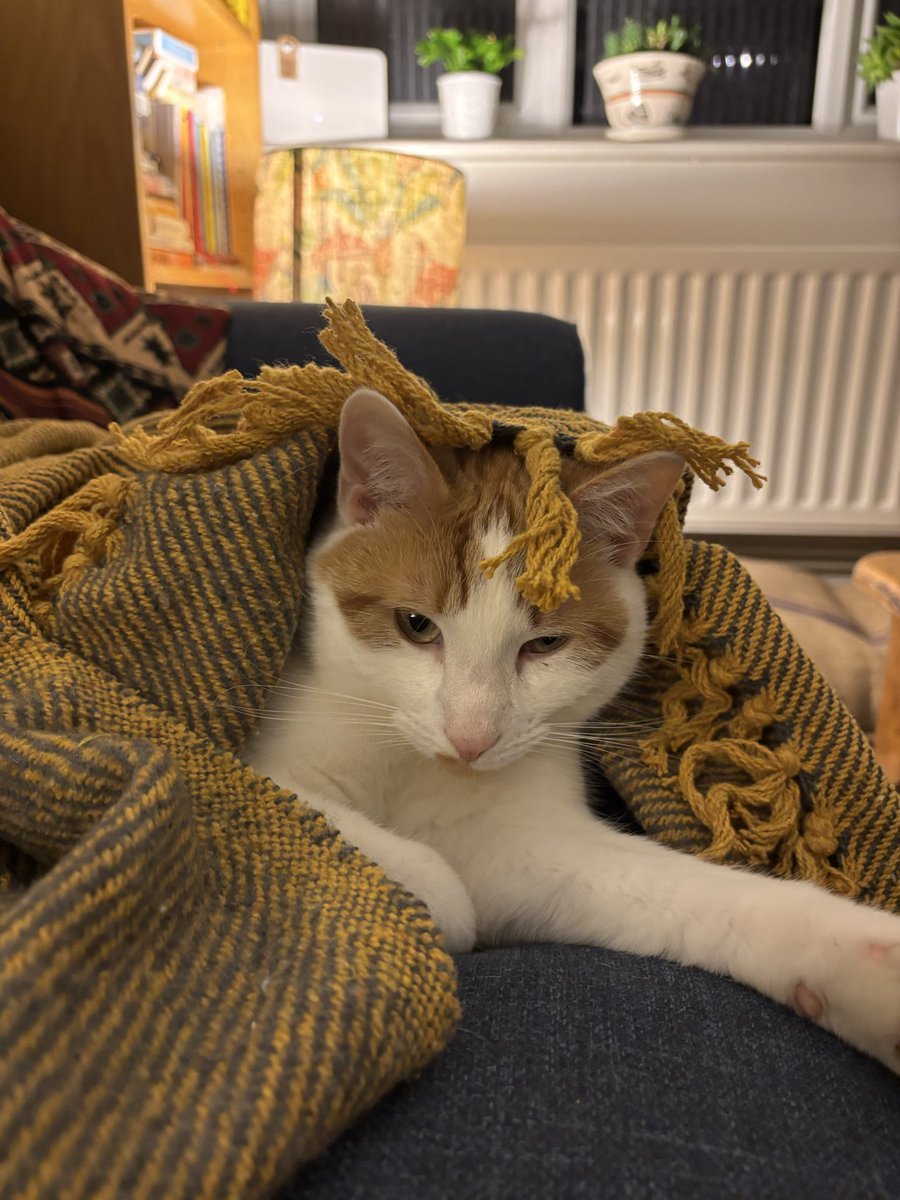 EllieSuthers tweet media