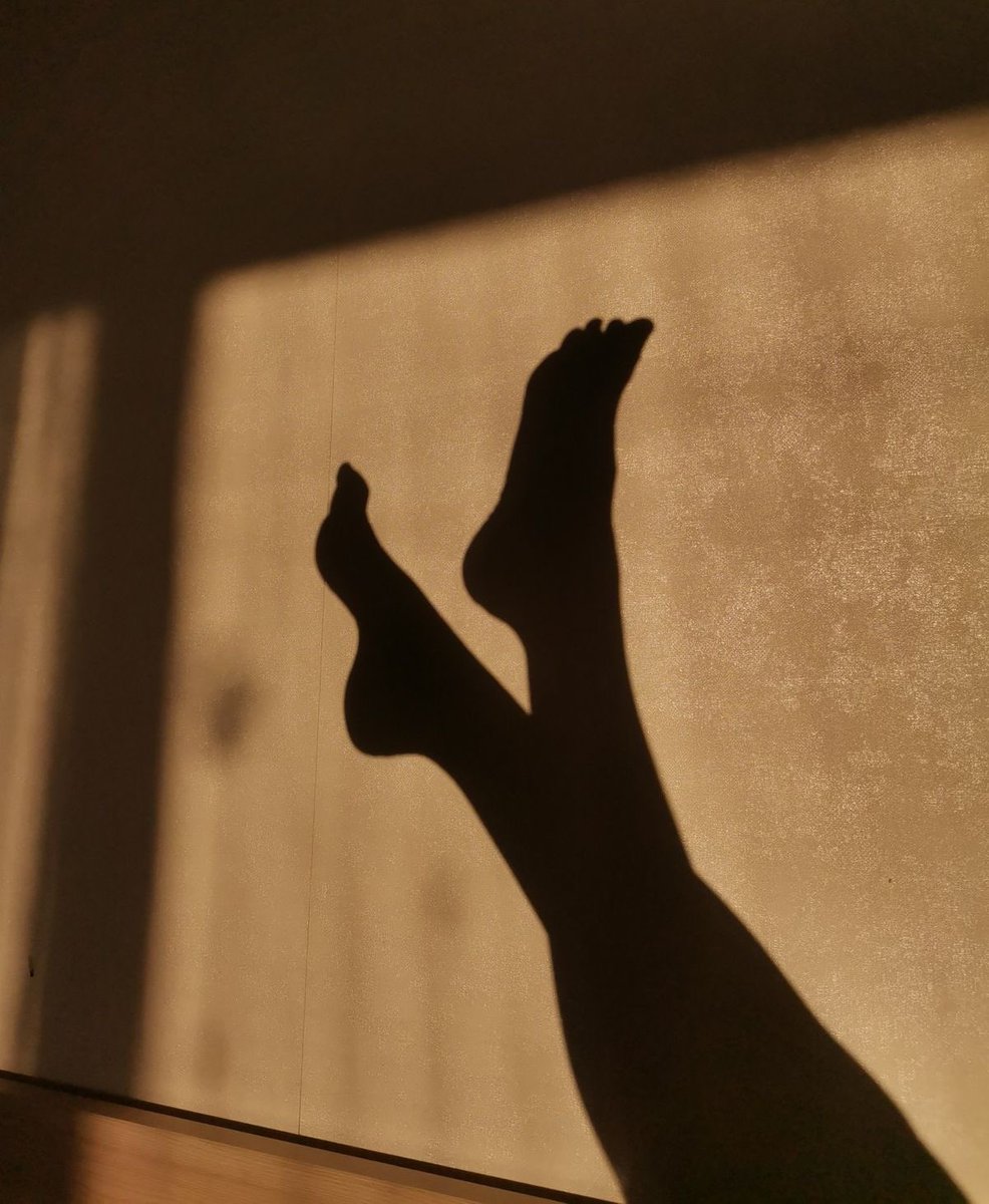 PARELLA™🦋🪽 tweet media