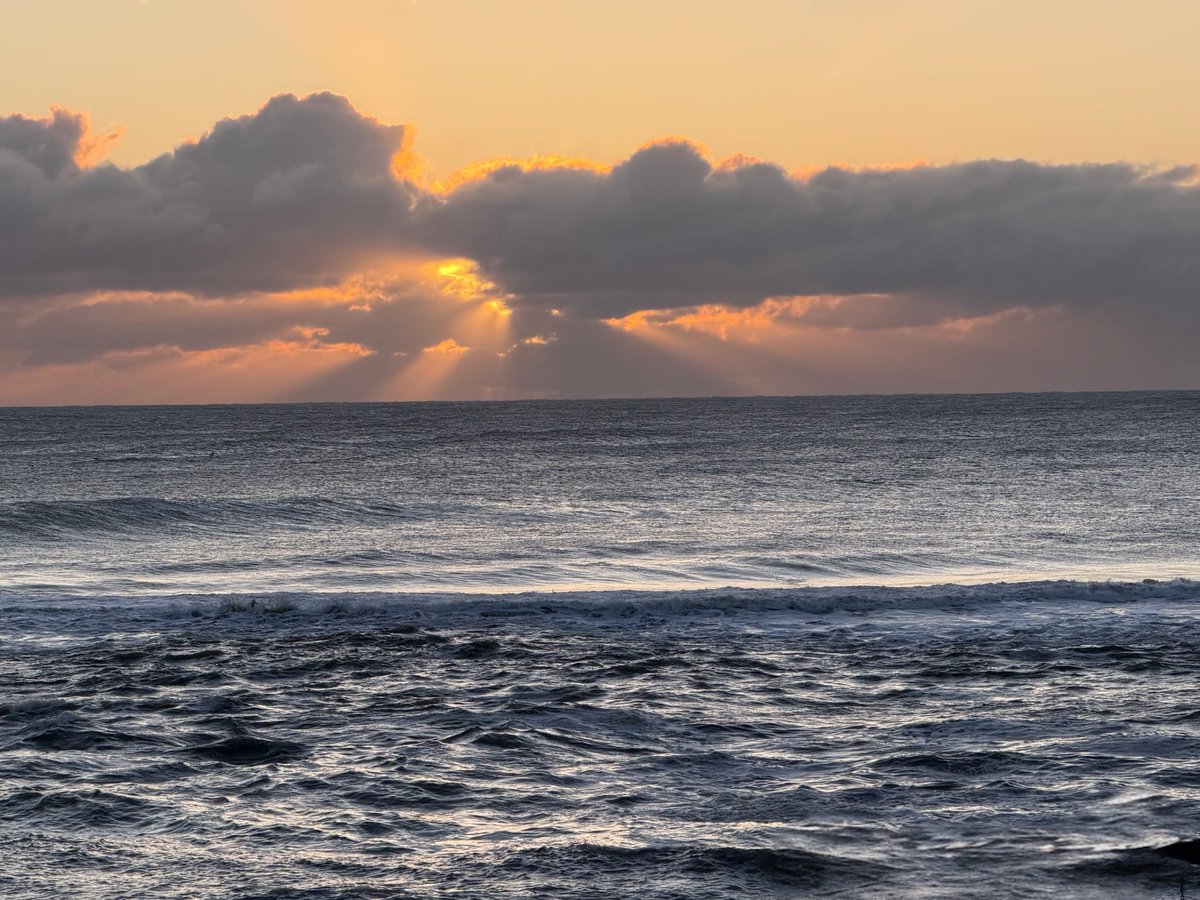 SeaWindowCraster tweet media