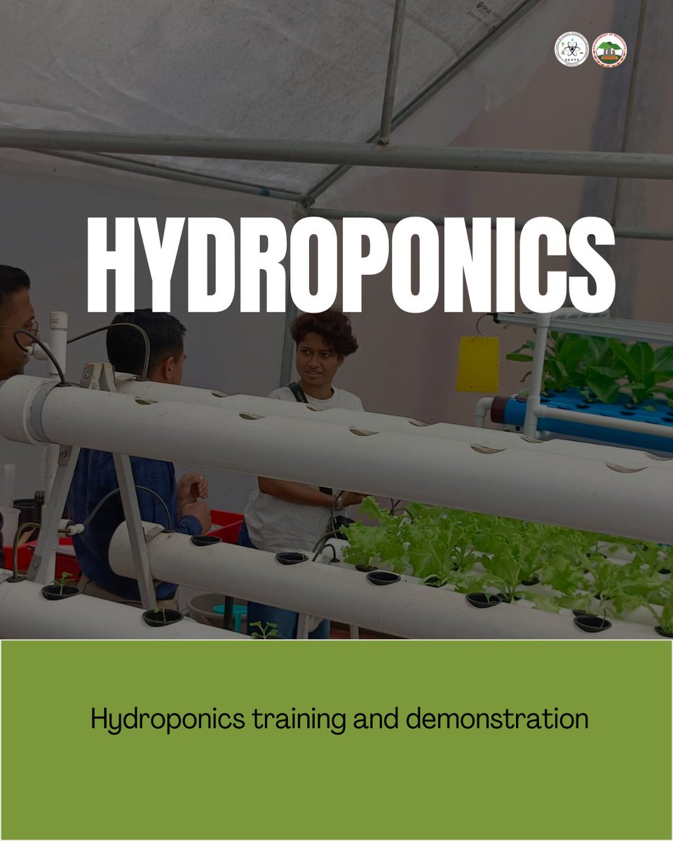 scstemeghalaya's tweet photo. Smti. Nandita Ghosh &amp; family from Guwahati visited SSC, NEHU, for a hands-on hydroponics demo. Our team showcased innovative, sustainable soilless farming, an engaging step toward modern agriculture awareness. #SCSTEMeghalaya #NSDviksitbharat2047 https://t.co/IC6nLpciuo