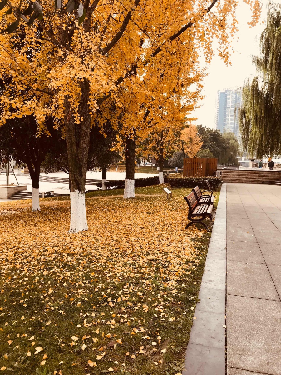 KivenMuatambara tweet media