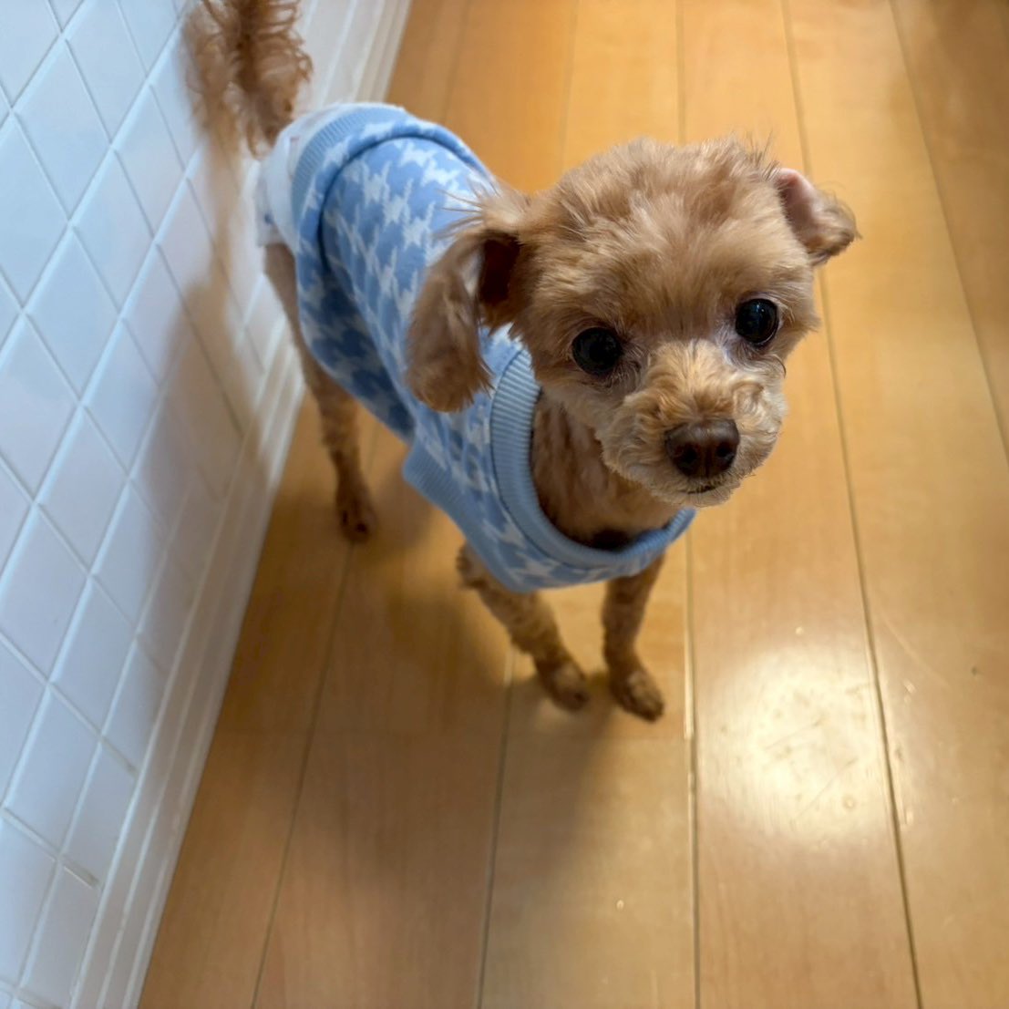 ちろちゃん🛸 tweet media