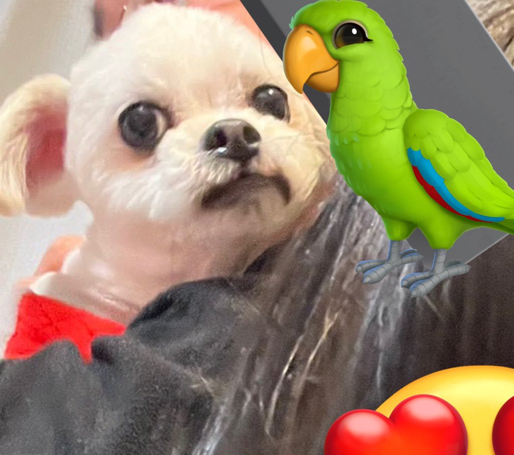 ちろちゃん🛸 tweet media