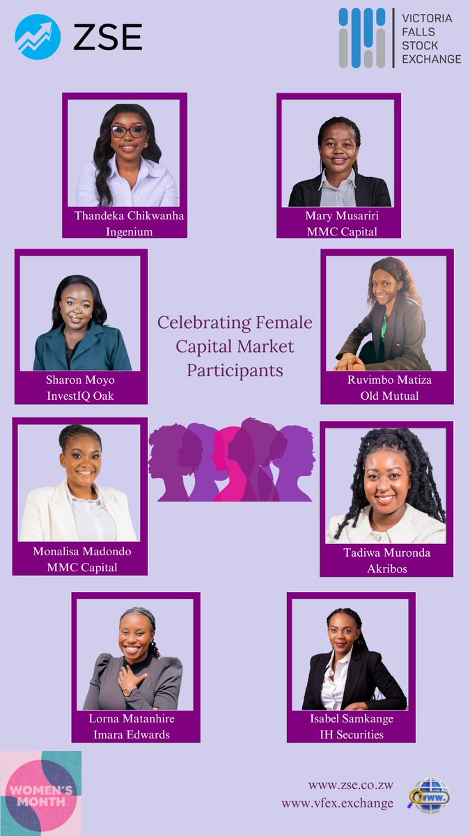 Victoria Falls Stock Exchange tweet media